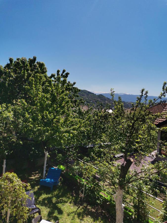 Bungalow 3 With 1 Room סראייבו מראה חיצוני תמונה